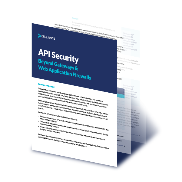 API Security Beyond Gateways and Web Application Firewalls thumbnail